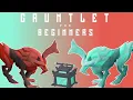 Guide for Beginners OSRS