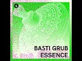 Basti Grub - Shake It (Club Version)
