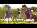 Download Lagu PAK RT SARNO MERINTIS LAHAN GARAPAN YANG KE-TIGA DI JALUR 02 SP 10 TG BUKA ‼️👍👍👍