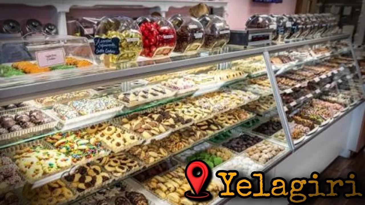 Tried Yelagiri Homemade Chocolates 😋🍫 | ருசி அனுபவம்