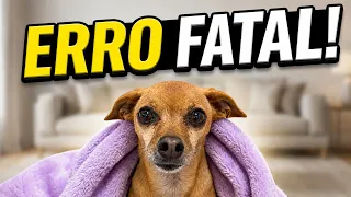 ESSE ERRO COM SEU CACHORRO PODE SER FATAL!