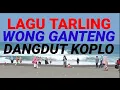 Download Lagu LAGU TARLING WONG GANTENG DANGDUT KOPLO