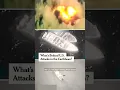 What s Behind U S Attacks in the Caribbean