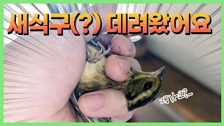 별에 별 일이 다 있네요 가만있어도