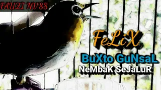 Download PLECI BUXTONI GUNSAL \ MP3