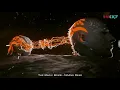 Download Lagu The Magic Bomb 2021 - Hoàng Read
