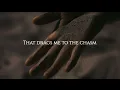 Wolves At The Gate - No Tomorrow (Lyric Video)