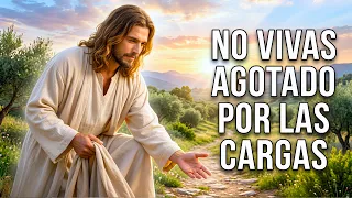 No te acostumbres a la carga: Jesús quiere levantarte