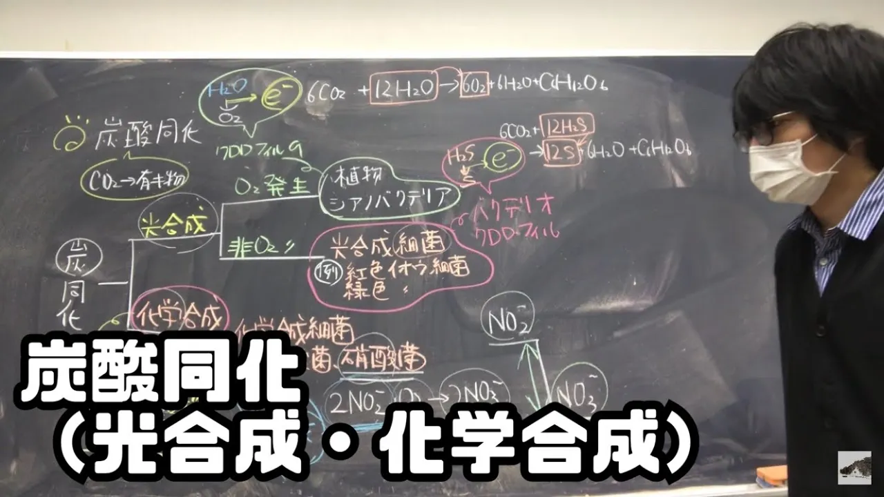 炭酸同化（光合成・化学合成）　高校生物