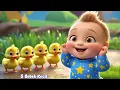 Download Lagu 5 BEBEK KECIL BERMAIN | ANAK AYAM PIYIK PIYIK | SUARA HEWAN | CIT CIT CUIT | JABAL KIDS