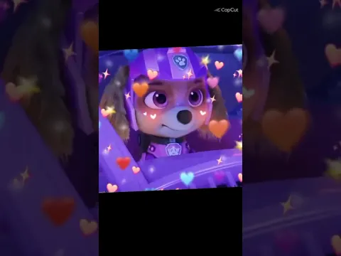 ❤PAW PATROL SKYE❤