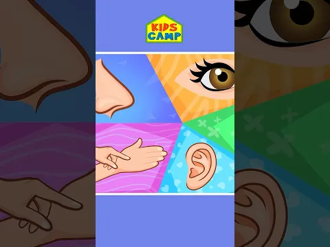 👀👂Five Senses Song #shorts #kidssongs