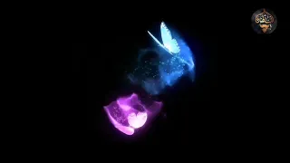 اصالة روحي وخداني اغنية طرب فنان Assala Rohi Wakhdani أصالة روحي وخداني 