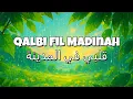 Download Lagu Qalbi Fil Madinah 🌙 | Alma Esbeye Maher Zain \u0026 Harris J  🎶 | Romanized Version ✨ | English Lyrics 🎧