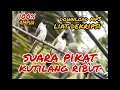 Lagu suara burung kutilang ribut.cocok untuk pikat burung di jamin lengket anti zonk.