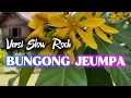 Lagu BUNGONG JEUMPA - Lagu Aceh Versi Slow Rock