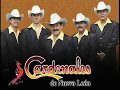 CARDENALES DE NUEVO LEON - COMPRENDALA