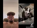 Dog gets high off edibles