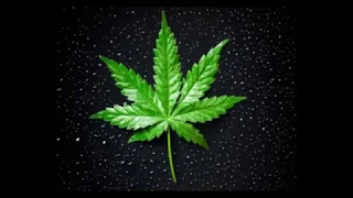 احلي اغاني كافون حصري أحلى أغاني كافون حمزاوي أرت ماستا في ميكس مهبول Mix Reggae By Deeje Sky  احلي اغاني كافون حصري أحلى أغاني كافون حمزاوي أرت ماستا في ميكس مهبول Mix Reggae By Deeje Sky