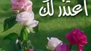 التسامح خير 