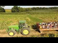 Fall Harvest at Maple Lawn Farms Maize Quest