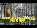 Download Lagu MASTERAN LOVEBIRD isian KASAR TANPA IKLAN - 30 MENIT