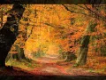 Download Lagu Constantin de la Botosani - Florile-n castan s-au scuturat