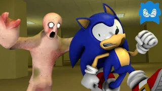 SGA: Sonic and The Backrooms [GMOD]