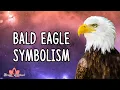 Bald Eagle Symbolism Meaning - Freedom Strength Wisdom