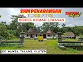 Download Lagu Termurah! Tanah Luas 1990m² SHM + Rumah Limasan | Mangku Jalan PU | Hanya 840 Juta!