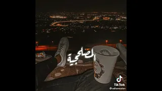 المصلحجيه كترو    دندنها
