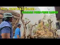 Download Lagu PART 5. TAMAN PAK LAKSAMANA - PENANAMAN POHON-POHON KAMBOJA