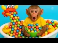 Download Lagu Monkey DoDo explores the vending machine and takes a bath in a candy tub at home! | DODO MONKEY LIFE