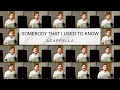 Download Lagu Gotye - Somebody That I Used To Know (ACAPELLA)