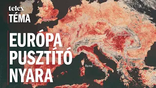 Már most akkora gazdasági károkat okoz a nyári hőség, mint amit 2050-re vártunk