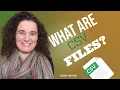 What are CSV files
