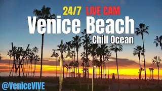Venice Beach LIVE CAM Sunset Surf Vibes Boardwalk Plaza Ocean View 4K