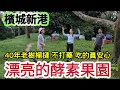 Download Lagu ❤一起逛榴槤芭 2 |有機種植|檳城新港|2025大馬榴槤行 ep.6 |#马来西亚 #槟城 #新港 #Malaysia#Durian 2025年7月1日