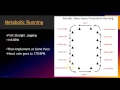 Triphasic Training System Aerobic Training Concepts Part 2