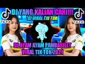 Download Lagu DJ PAMBISILET SLOW BET VIRAL TIKTOK || DJ AYAMAYAM VIRAL