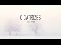 Bruna Karla - Cicatrizes  (COM LETRA) | Gospel Hits