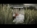 【歌詞翻譯】Caleborate - 4 Willem