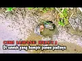 Download Lagu SUREFIRE TIPS‼️HOW TO FISH FOR EEL IN RICE FIELDS THAT ARE ALREADY HARVESTED