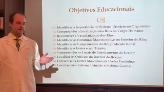 Sistema Urinário