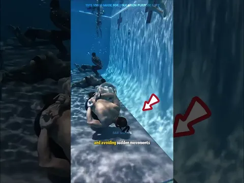 Difficulty of Navy seal training | The Saif Shorts