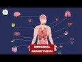 Download Lagu Mengenal Organ Tubuh Manusia dan Fungsinya | Video Edukasi Belajar Anak