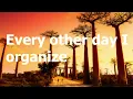 Asake - Organize (Lyrics Translation Video)