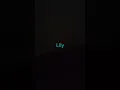 LILY'S THEME SONG 🎶