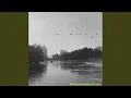 Download Lagu Burung-burung sedang mengamati Jalan Rice