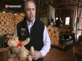 Lagu Howolis Holzwolle - Margarete Steiff Teddybären für Weihnachten -  Lindner Suisse